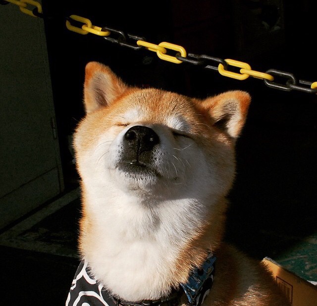 _湖人队迎来强劲反弹，季后赛希望更加强烈_，湖人队季后赛赛程