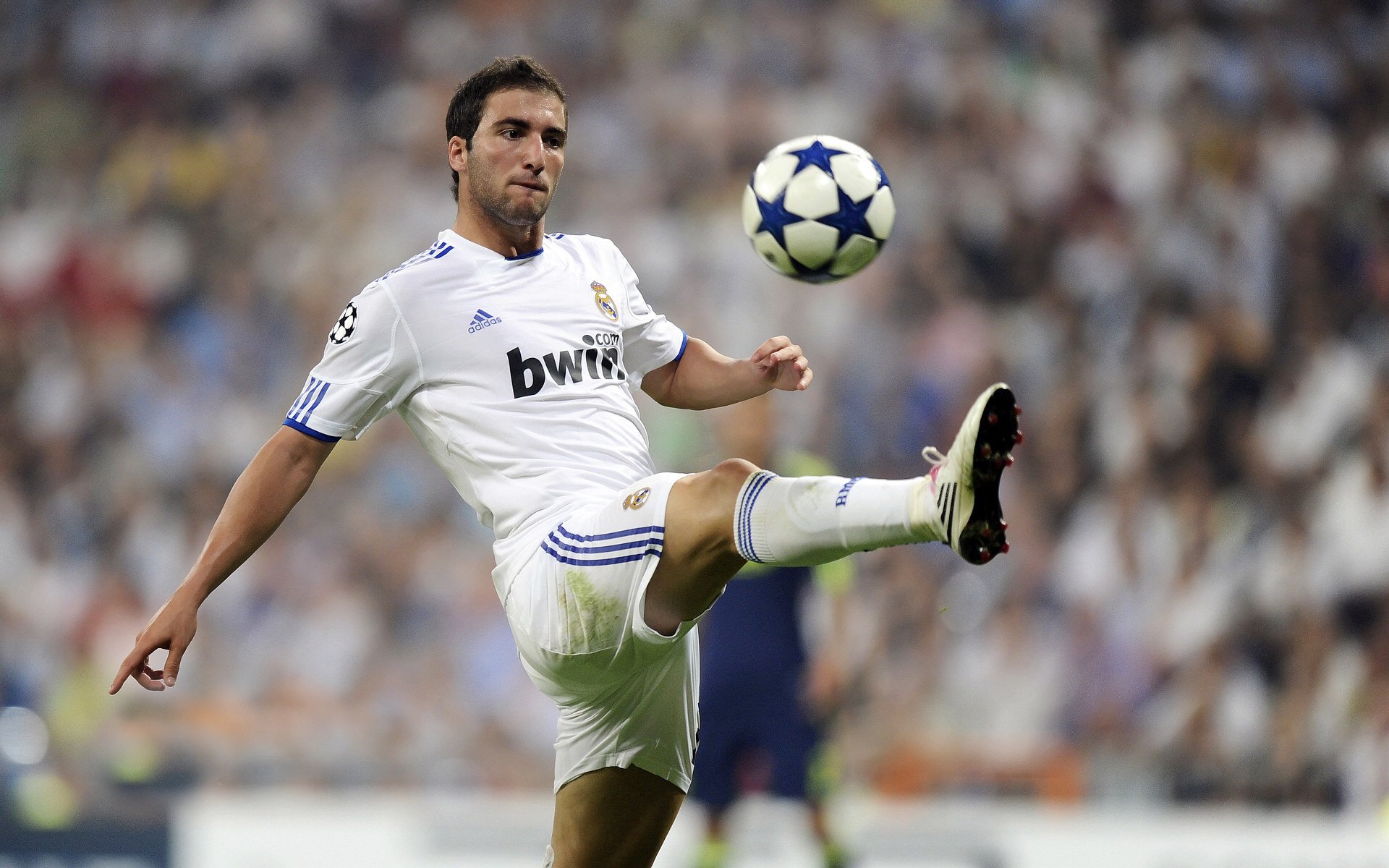 数据显示技术动作逐步国际化,数据显示技术动作逐步国际化的原因